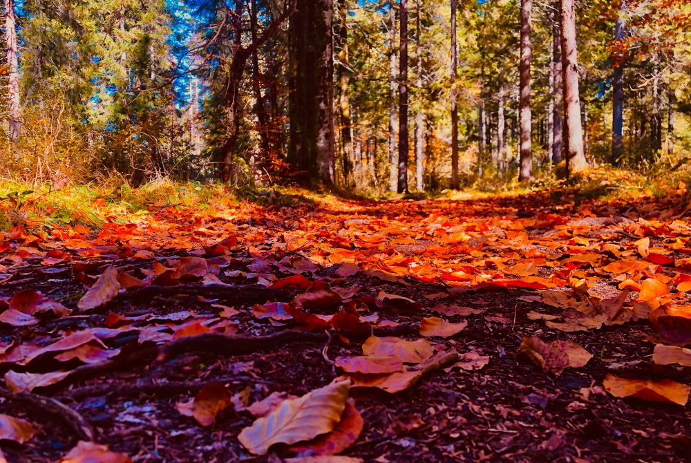 lussari-appartamento-4-005